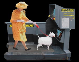 Rent-a-dog Simulator